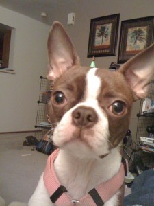 penny