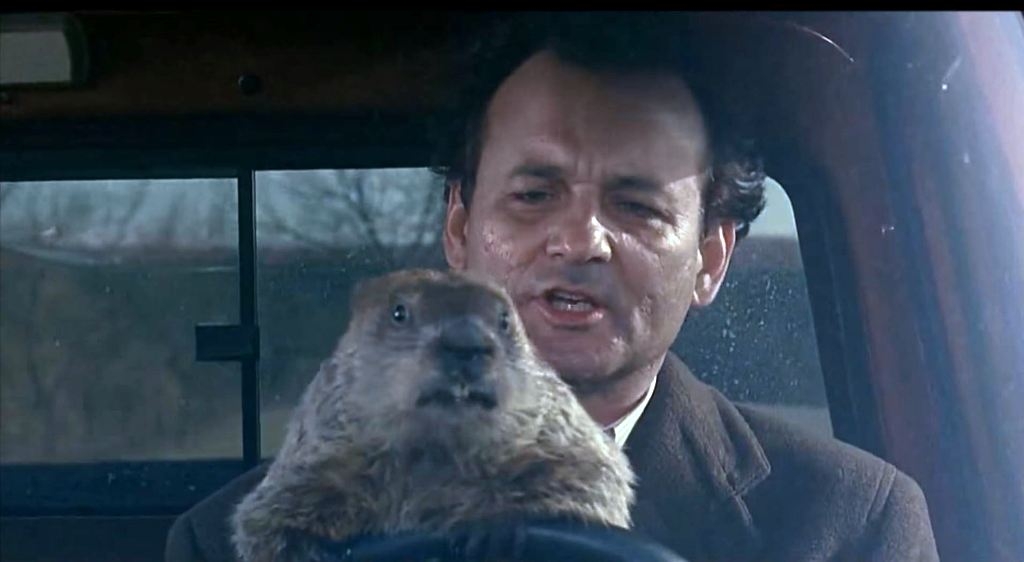 Every Day of Groundhog Day in One Day i am shep